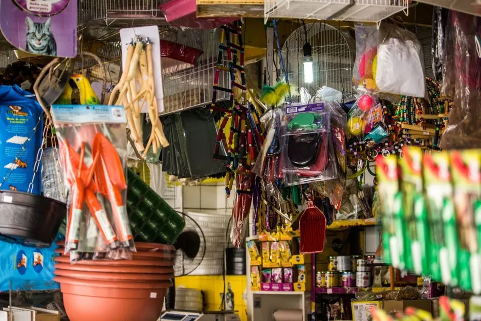 WhatsApp per pet shop e toelettature: la guida