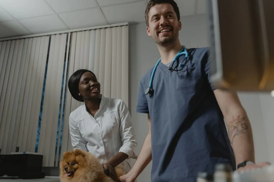 WhatsApp per veterinari: promemoria, richiami e visite